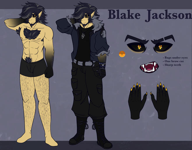 Blake Reference Sheet 2024